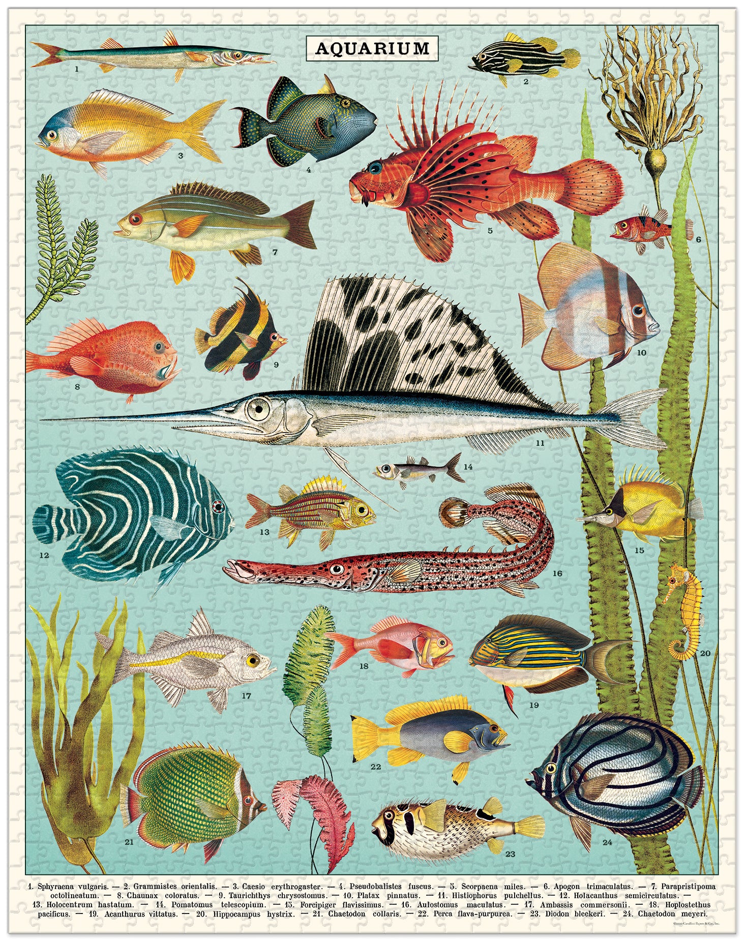 Aquarium Cavallini Puzzle 1000 Teile