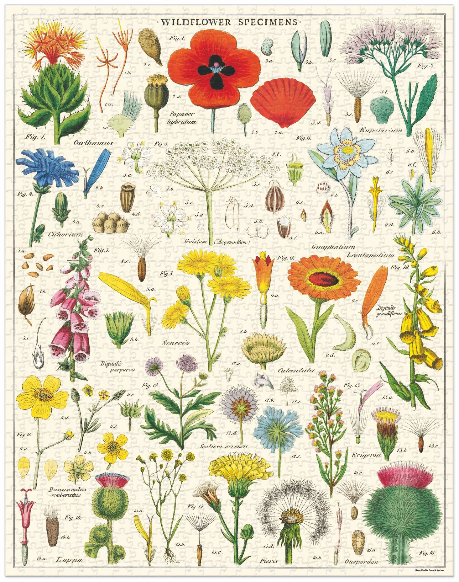 Wildflowers 
Cavallini Puzzle 1000 Teile