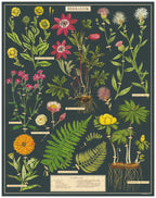 Herbarium 
Cavallini Puzzle 1000 Teile