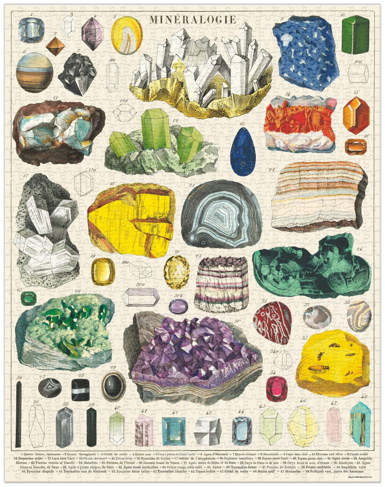 Mineralogie 
Cavallini Puzzle 1000 Teile