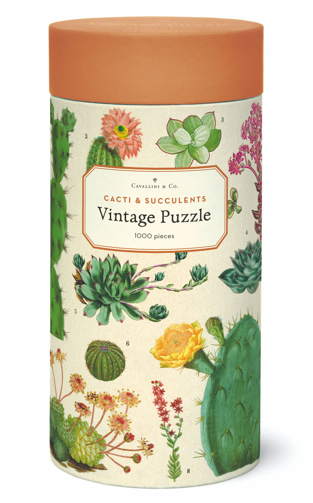 Cacti & Succulents Cavallini Puzzle 1000 Teile