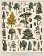 Arbetum Cavallini Puzzle 1000 Teile