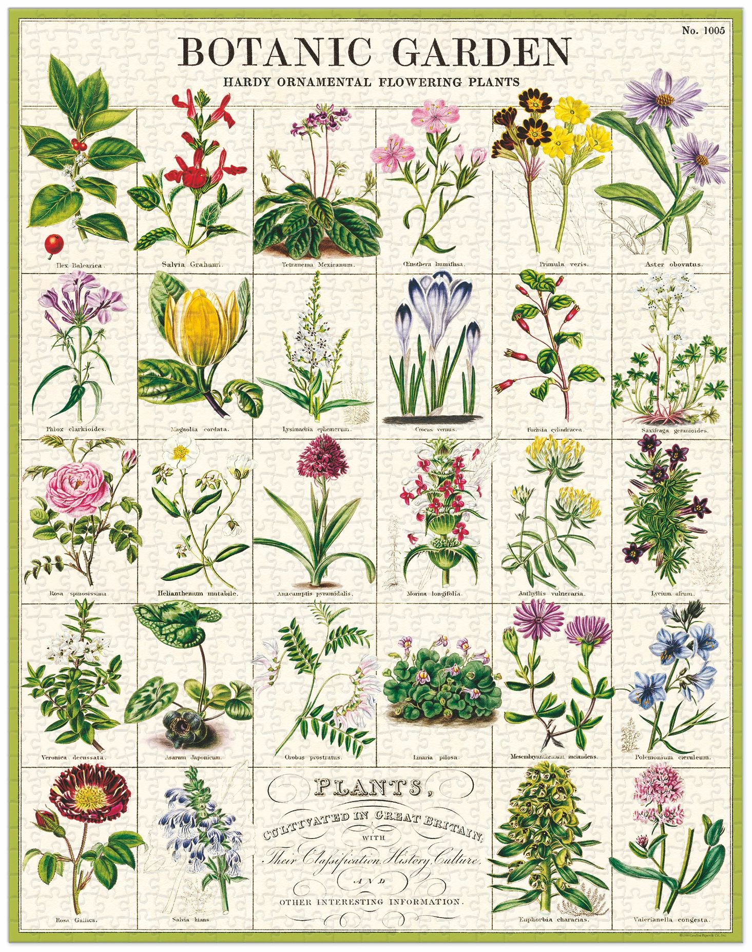 Botanic Garden 
Cavallini Puzzle 1000 Teile