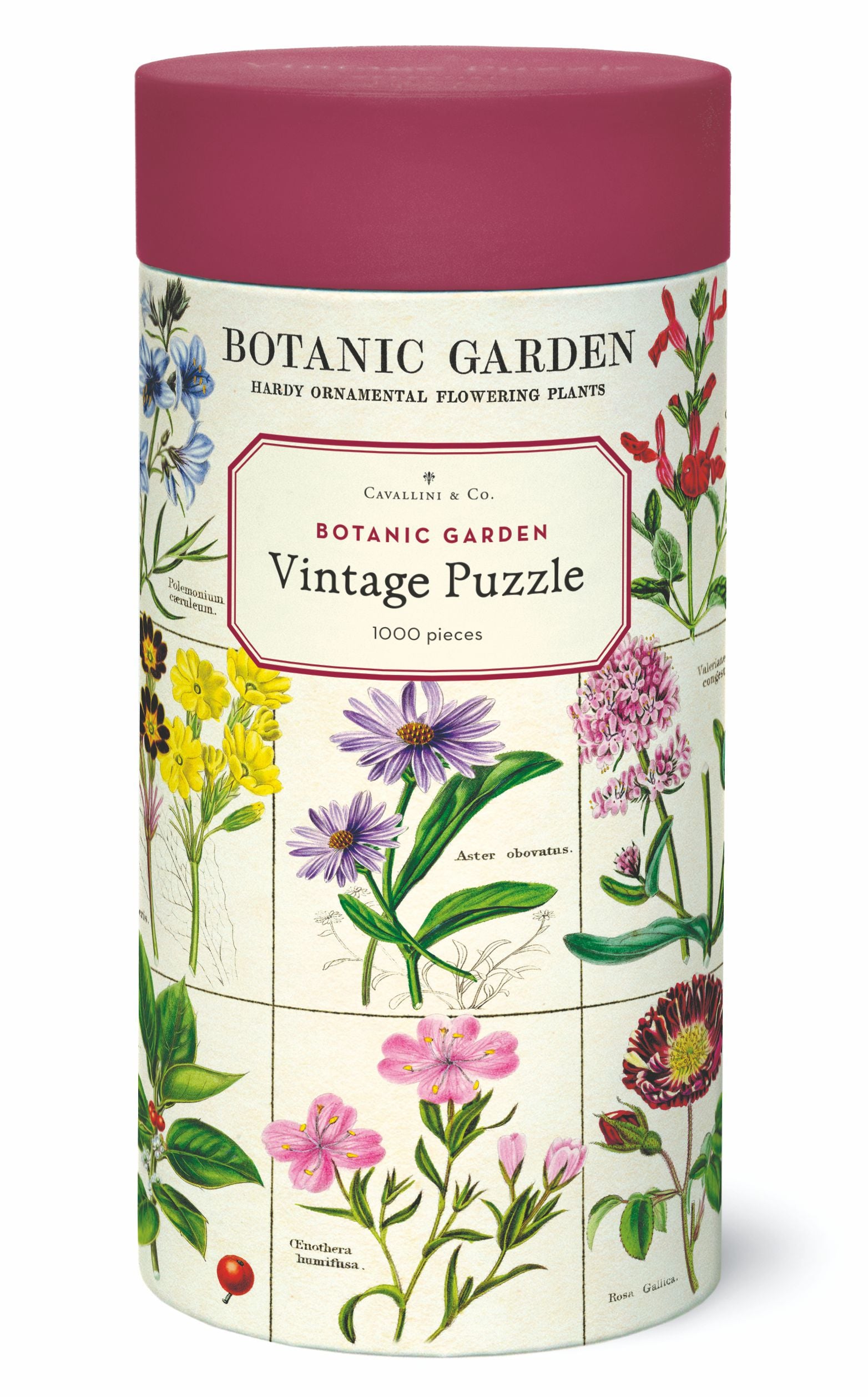 Botanic Garden 
Cavallini Puzzle 1000 Teile