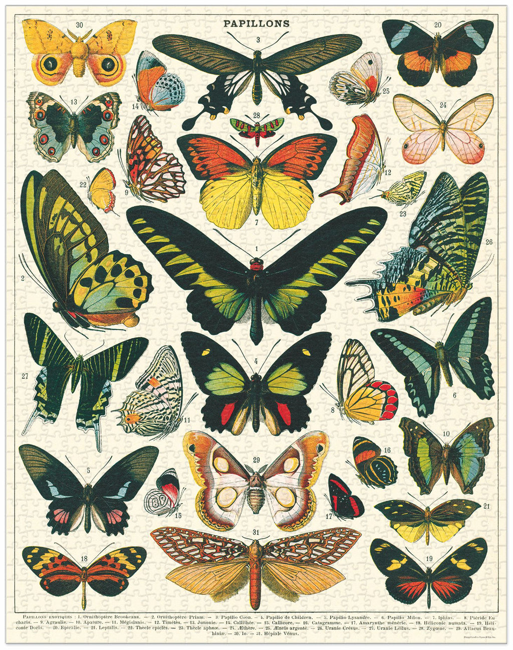Butterflies Puzzle 
Cavallinie Puzzle 1000 Teile