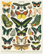Butterflies Puzzle 
Cavallinie Puzzle 1000 Teile