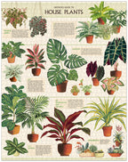 House Plants 
Cavallini Puzzle 1000 Teile