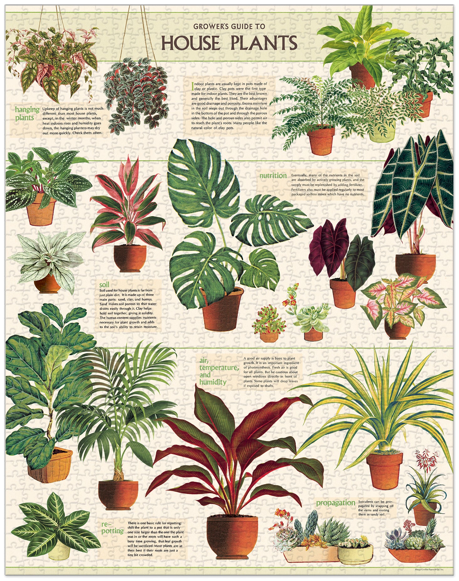 House Plants 
Cavallini Puzzle 1000 Teile