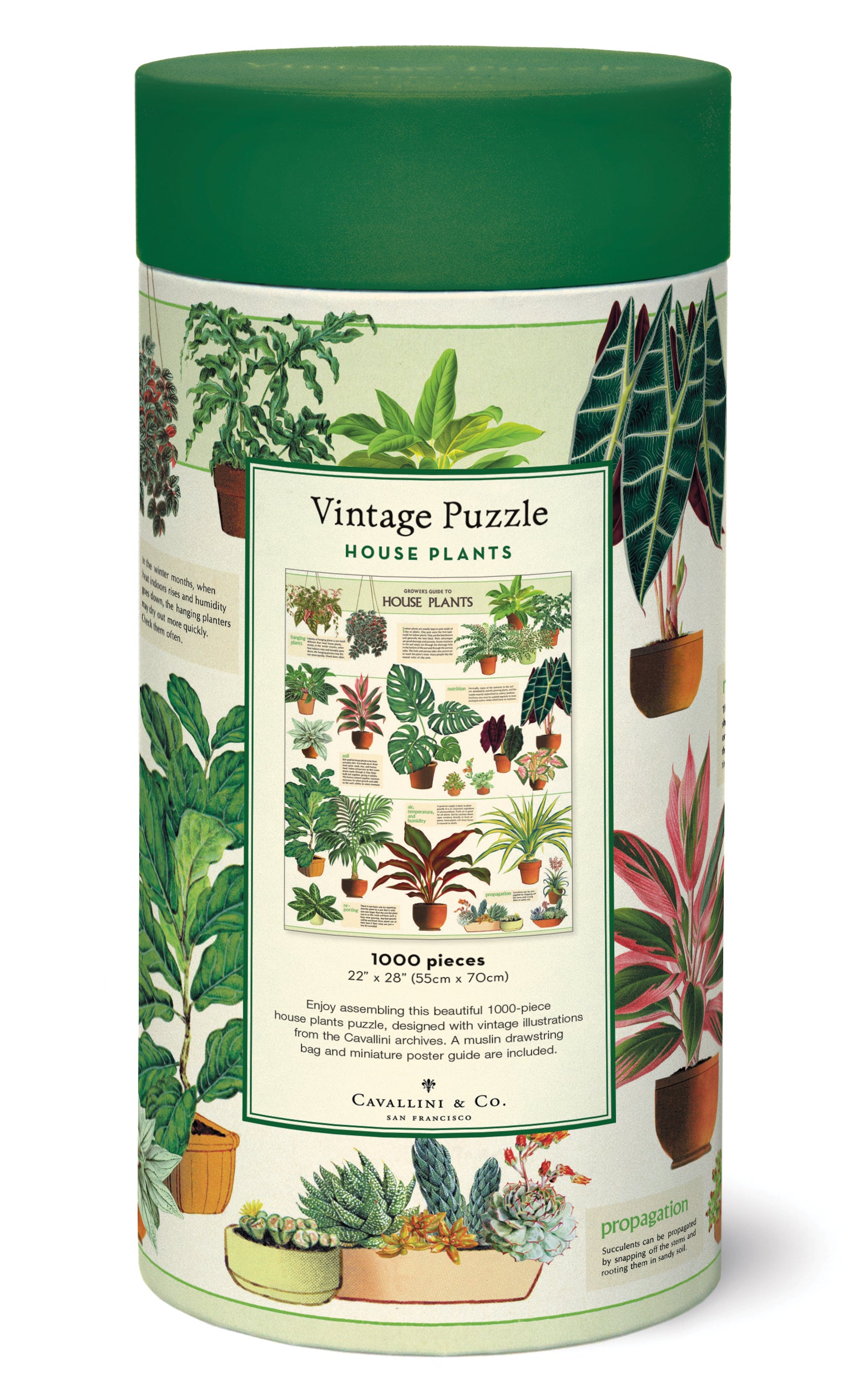 House Plants 
Cavallini Puzzle 1000 Teile