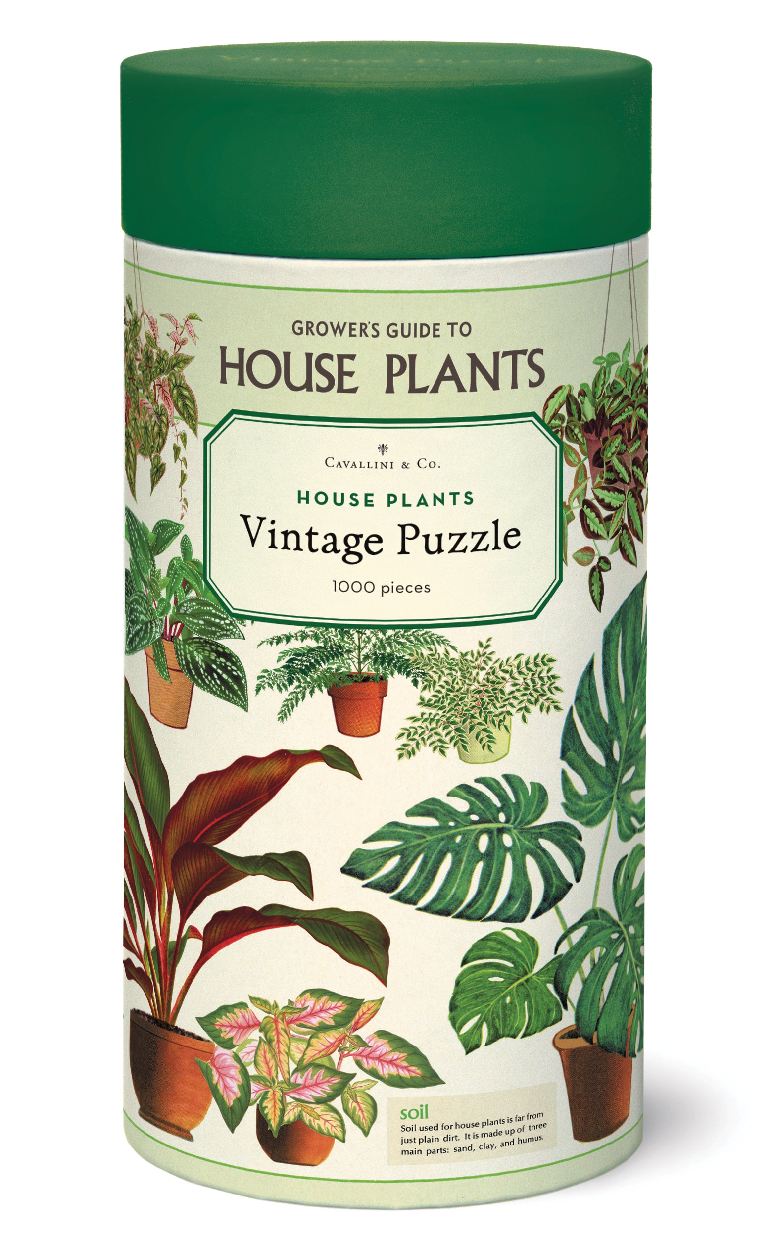House Plants 
Cavallini Puzzle 1000 Teile