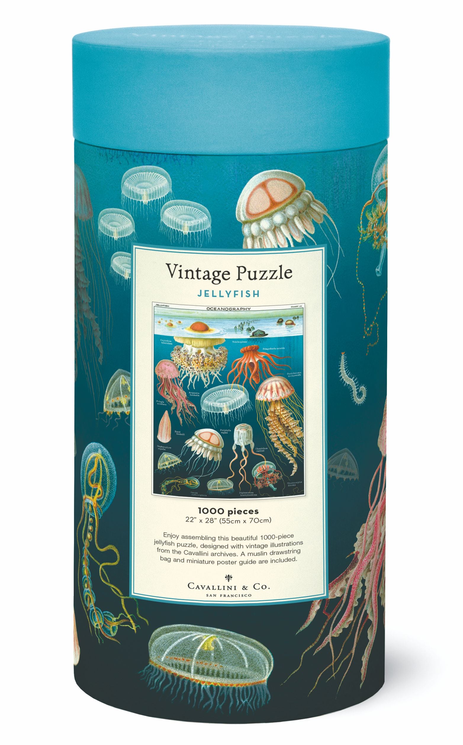 Jellyfish 
Cavallini Puzzle 1000 Teile