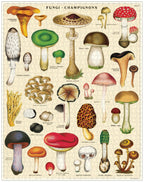 Mushrooms 
Cavallini Puzzle 1000 Teile
