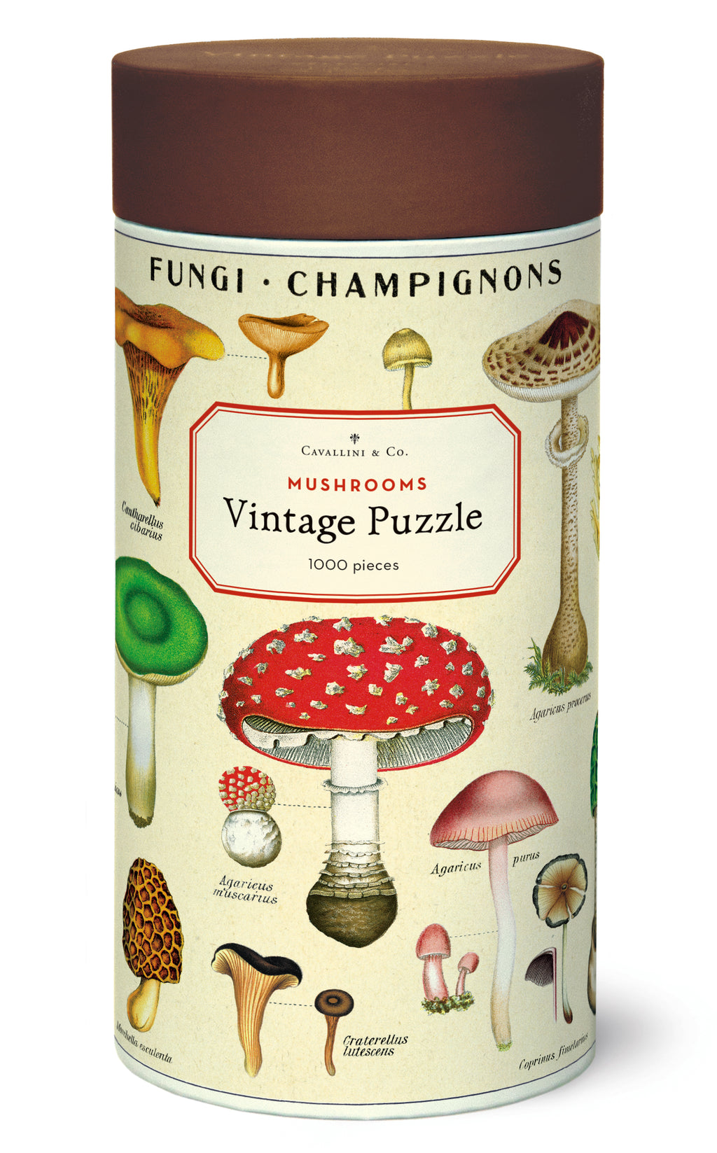 Mushrooms 
Cavallini Puzzle 1000 Teile