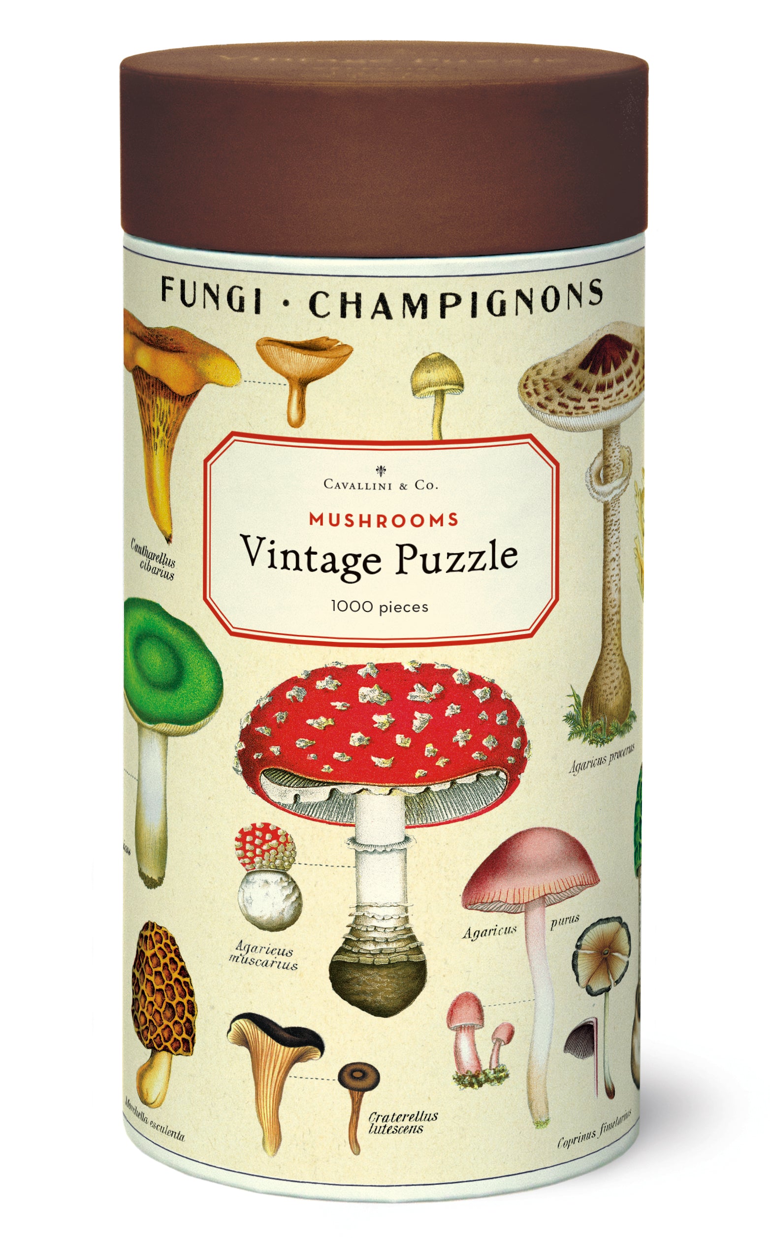 Mushrooms 
Cavallini Puzzle 1000 Teile