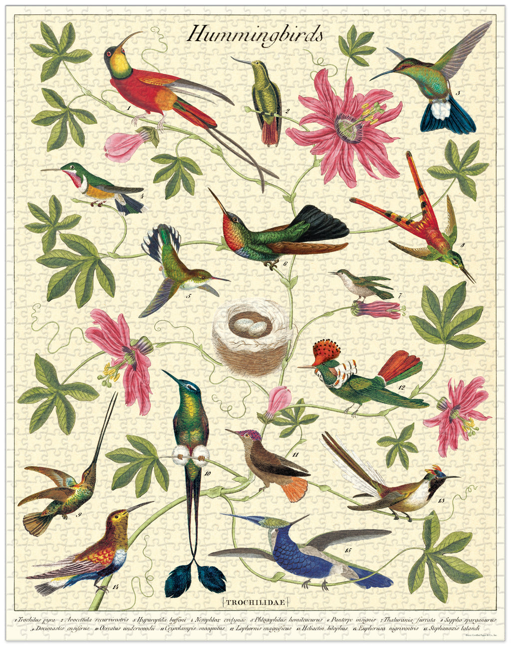 Hummingbirds 
Cavallini Puzzle 1000 Teile