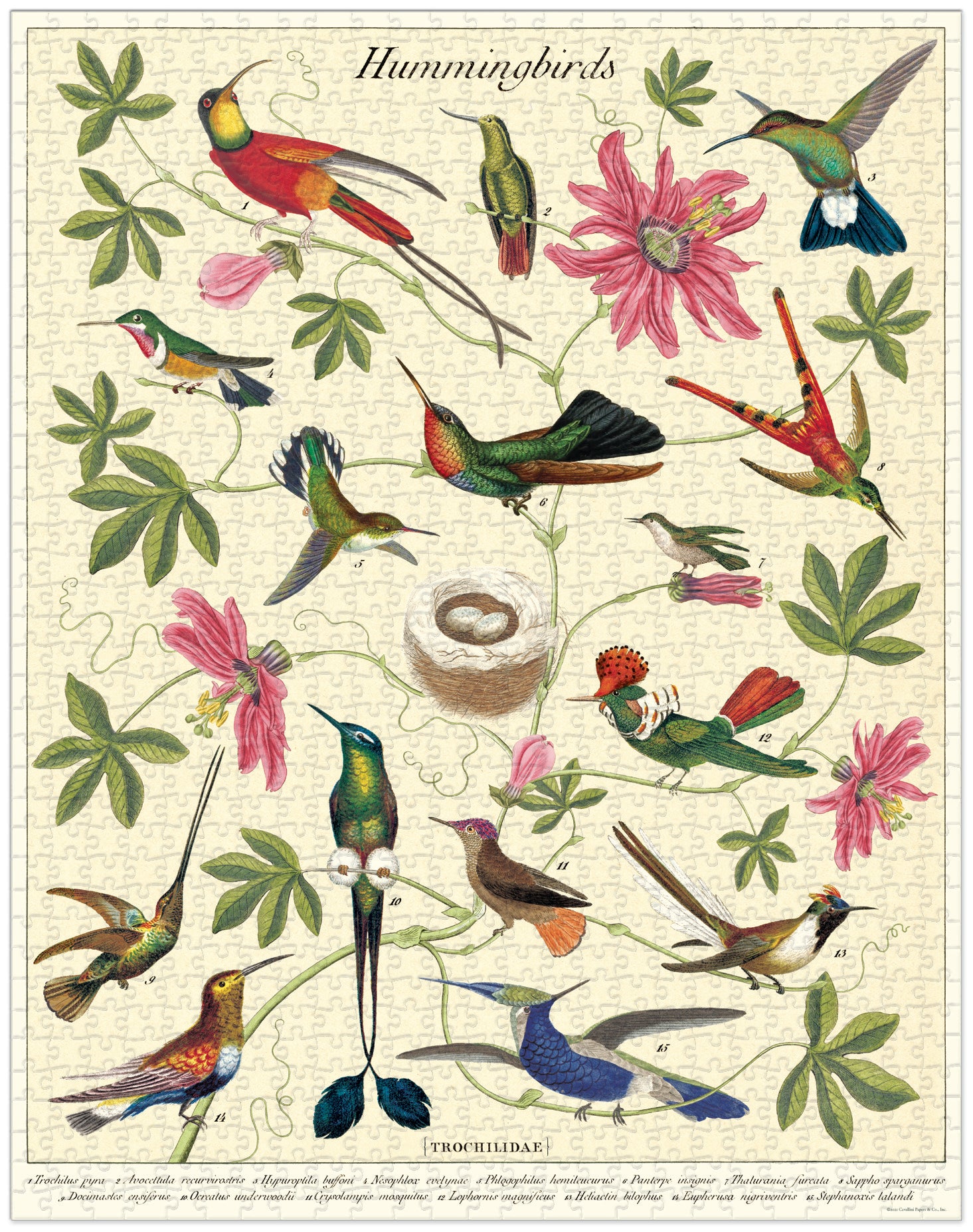Hummingbirds 
Cavallini Puzzle 1000 Teile