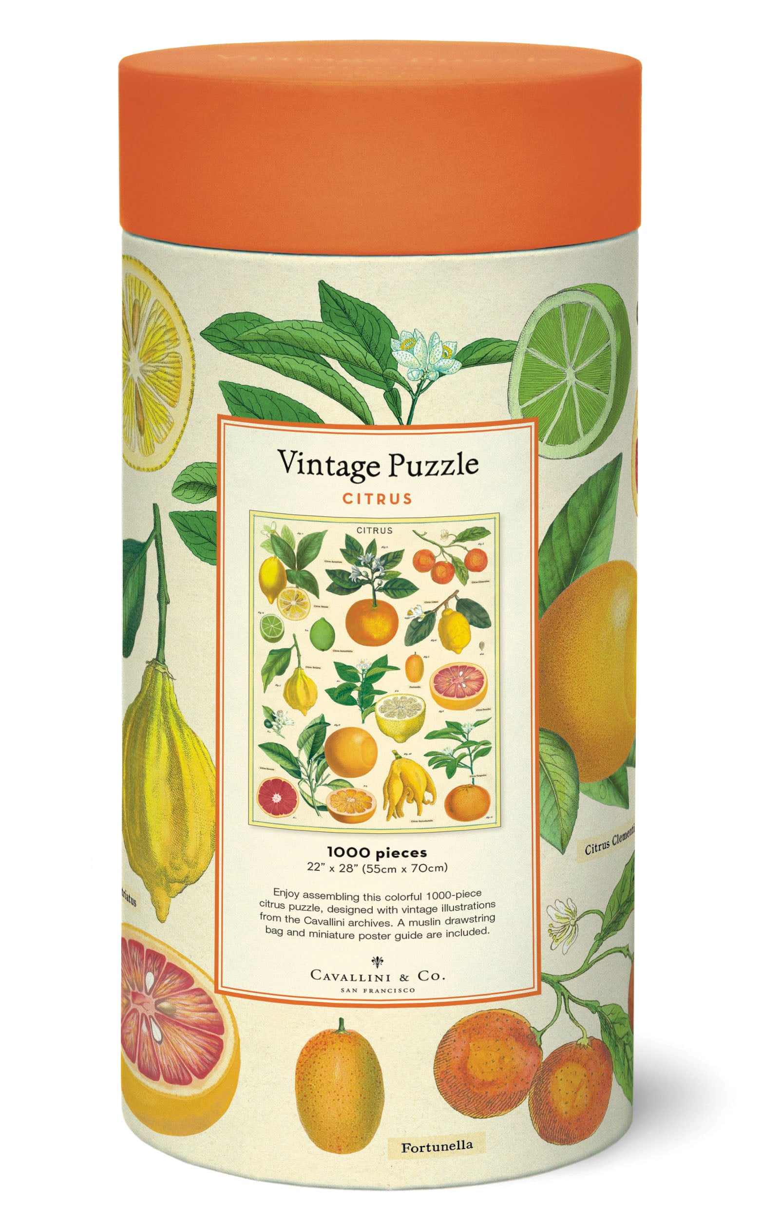 Citrus 
Cavalliine Puzzle 1000 Teile