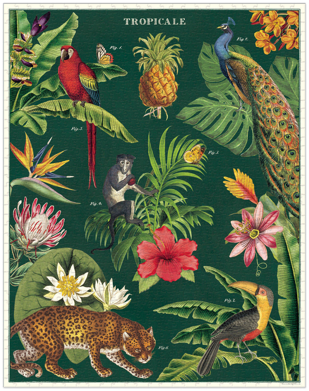 Tropical 
Cavallini Puzzle 1000 Teile