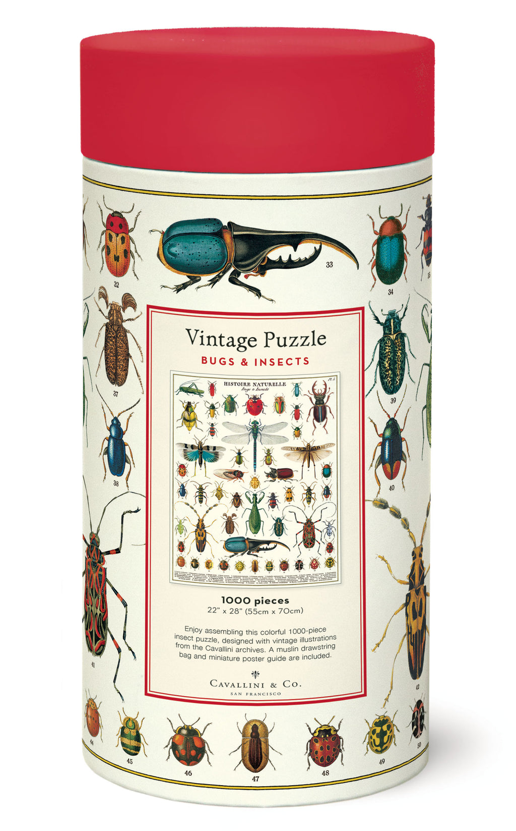 Bugs and Insects 
Cavallini Puzzle 1000 Teile