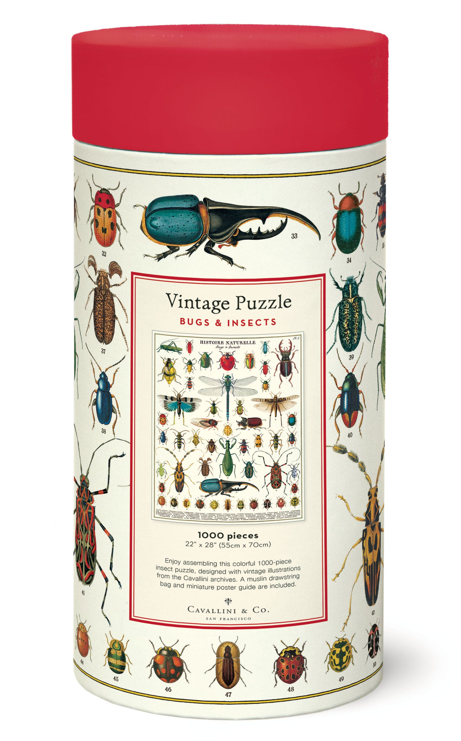 Bugs and Insects 
Cavallini Puzzle 1000 Teile