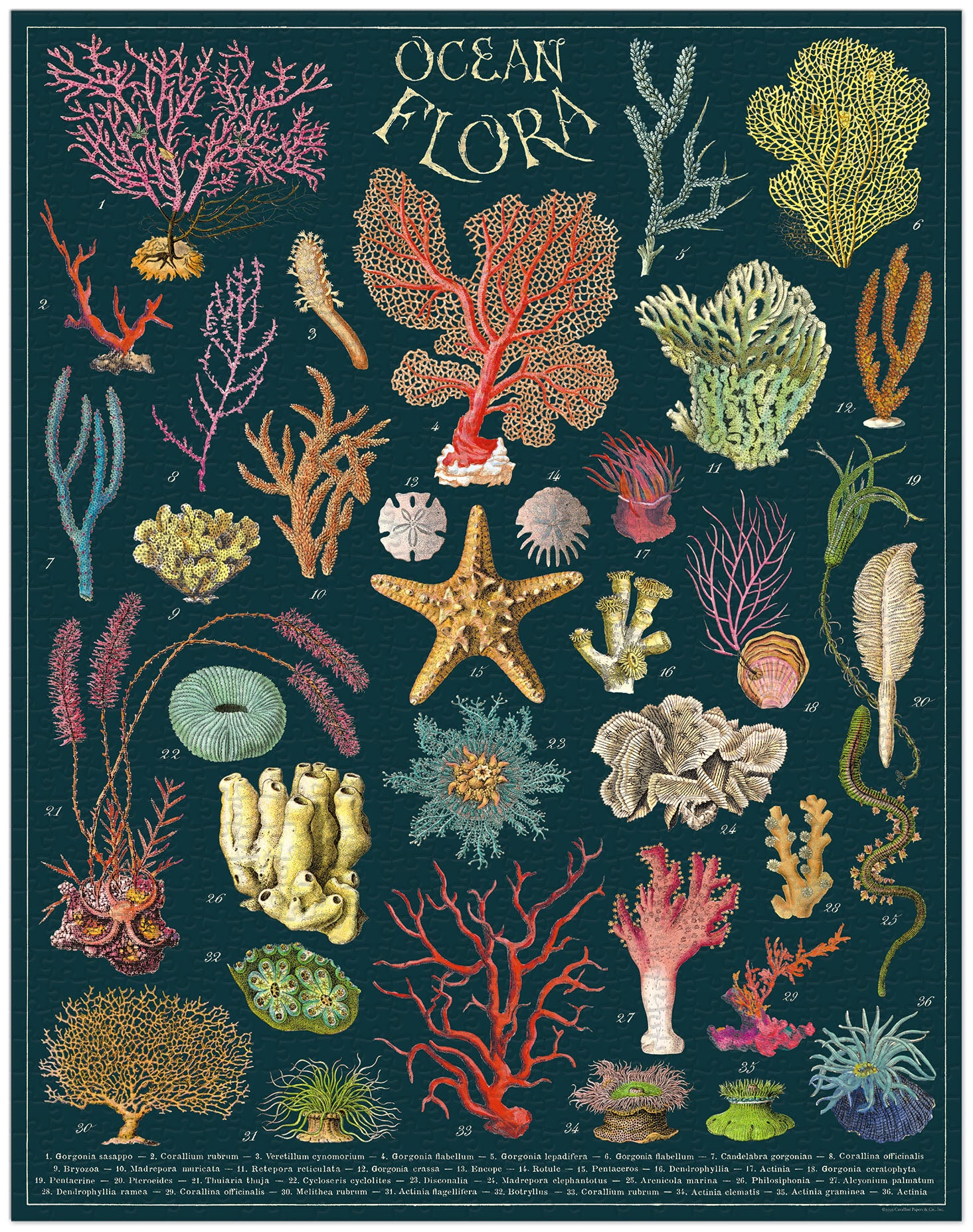 Ocean Flora 
Cavallini Puzzle 1000 Teile