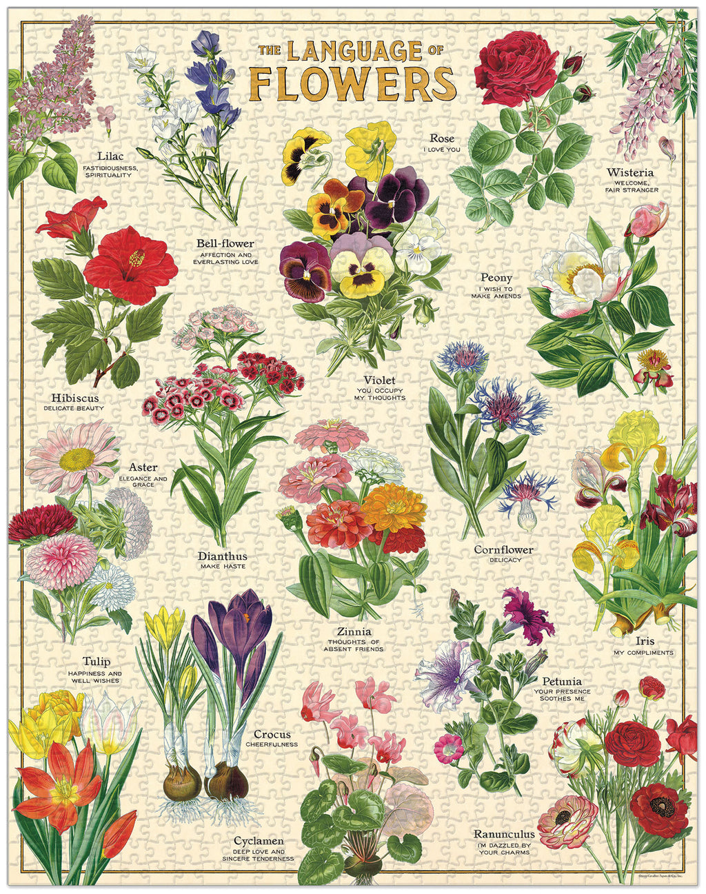Language of Flowers Cavallini Puzzle 1000 Teile