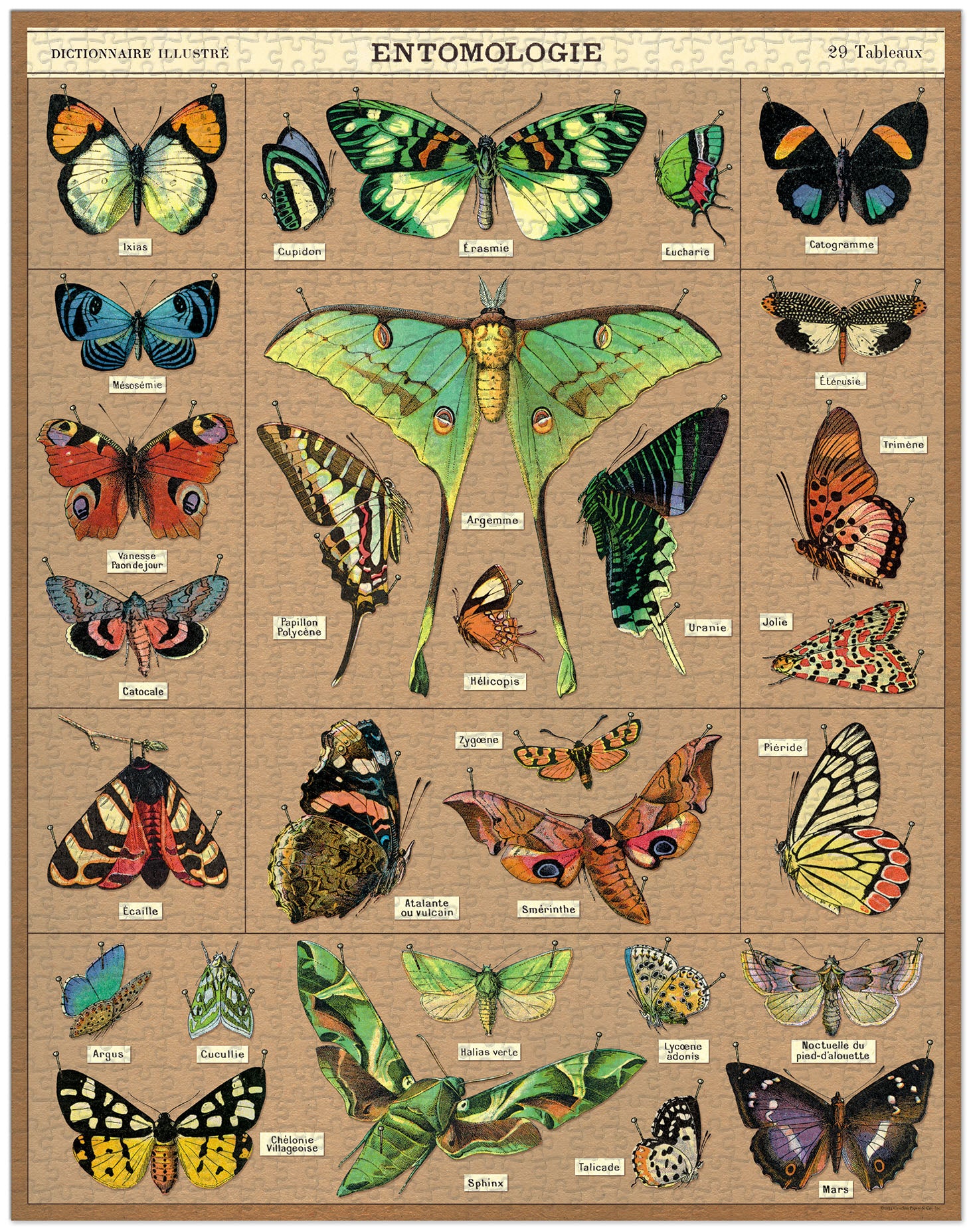 Entomology Cavallinie Puzzle 1000 Teile