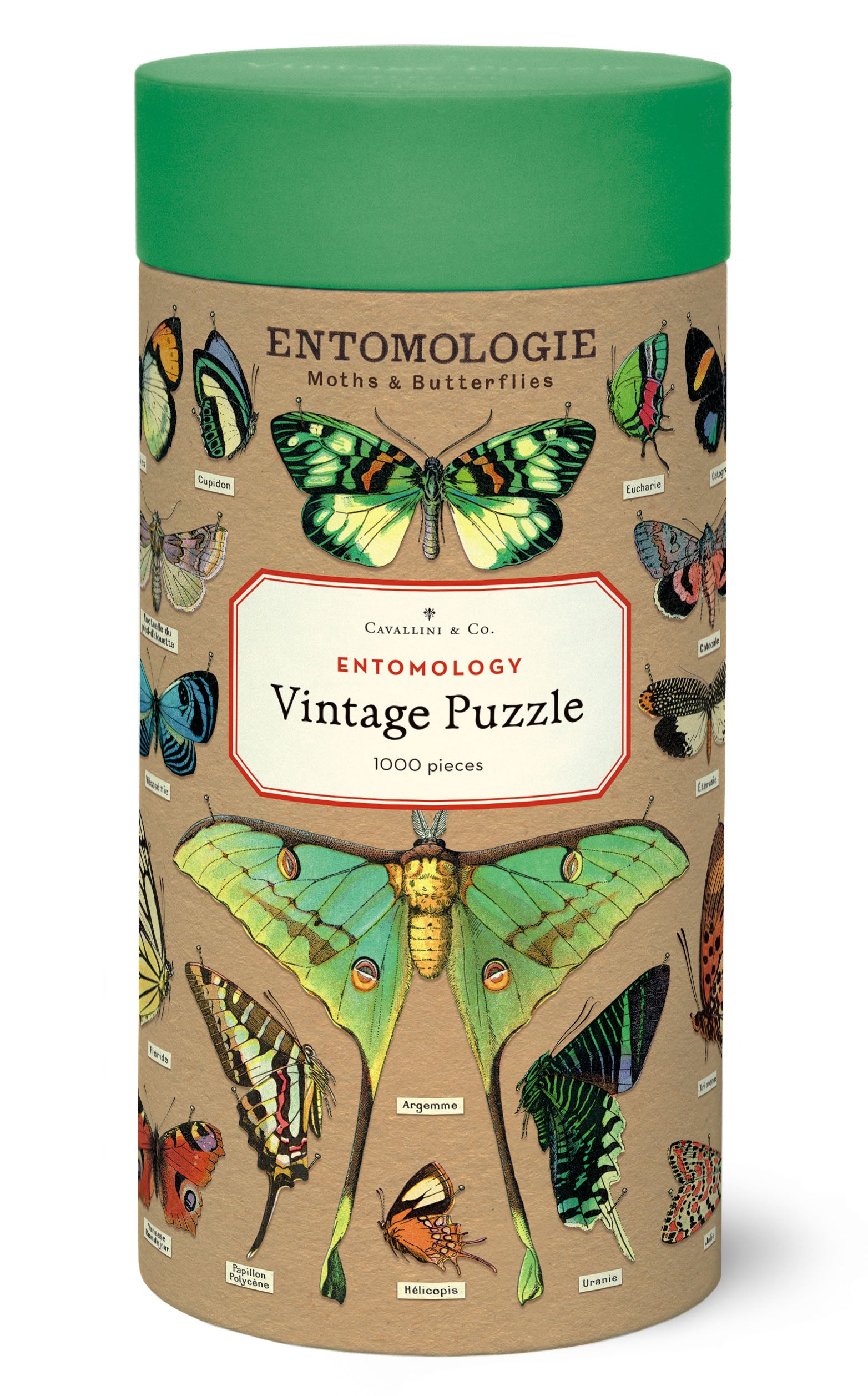 Entomology Cavallinie Puzzle 1000 Teile