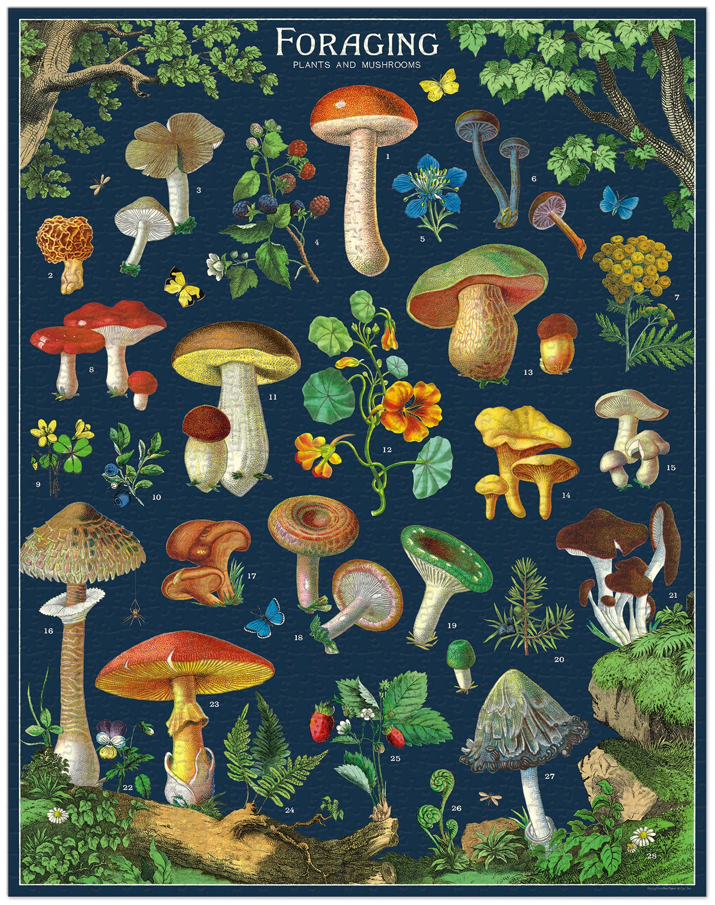 Foraging 
Cavallini Puzzle 1000 Teile