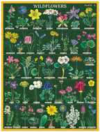 Mini Puzzle Wildflowers 
Cavallini 240 Teile