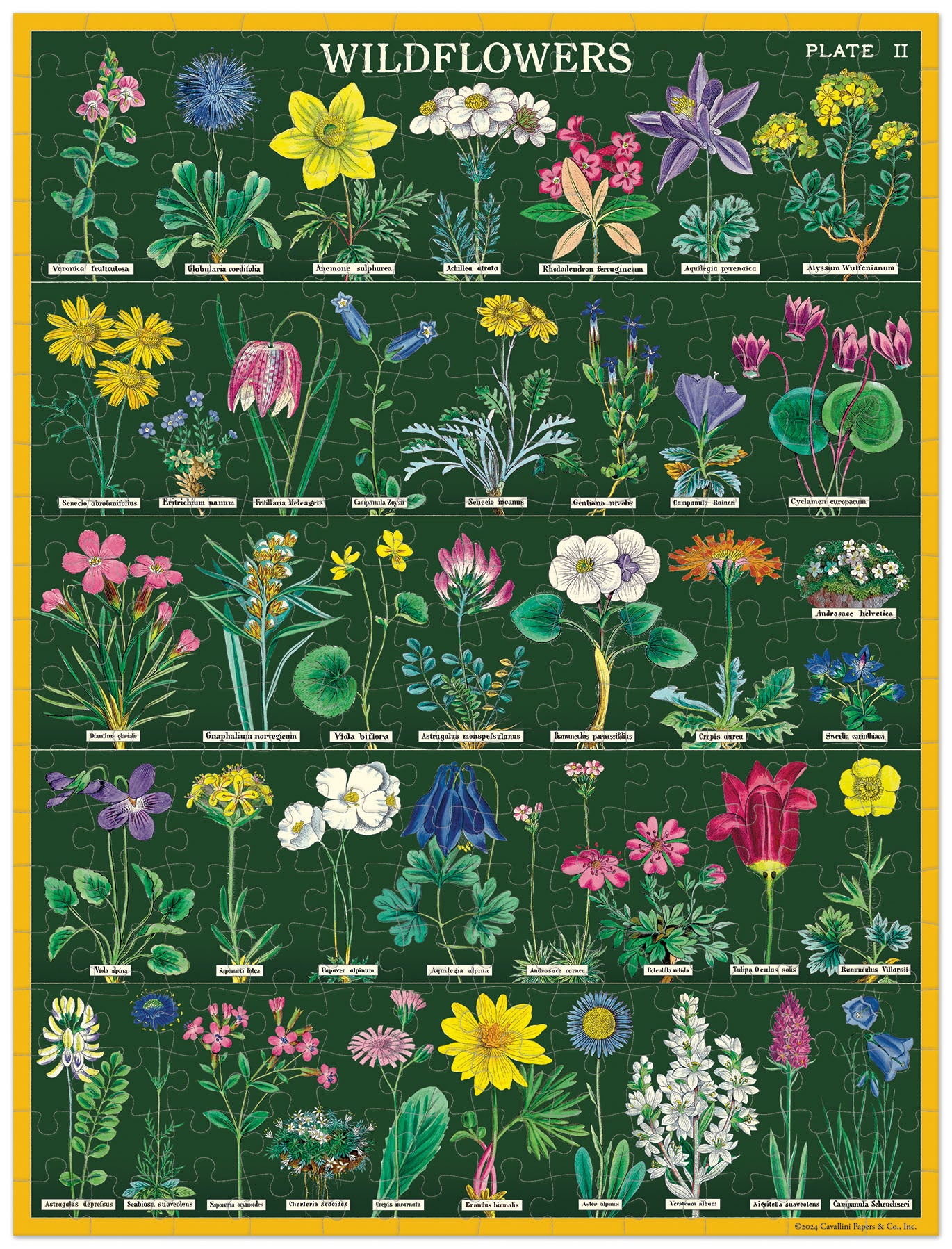 Mini Puzzle Wildflowers 
Cavallini 240 Teile