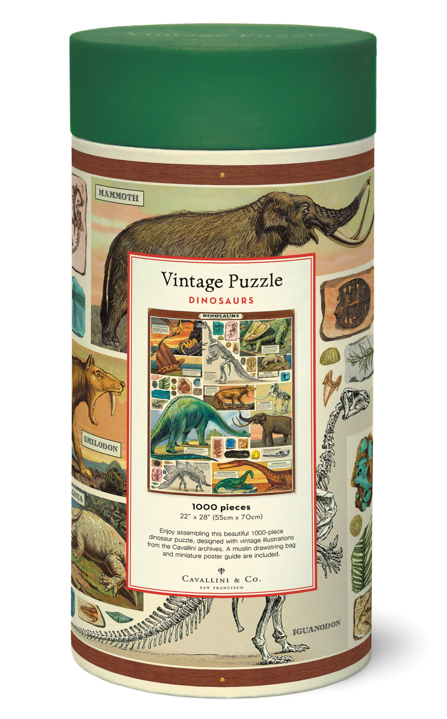Dinosaurs Puzzle 
Cavallini 1000Teile