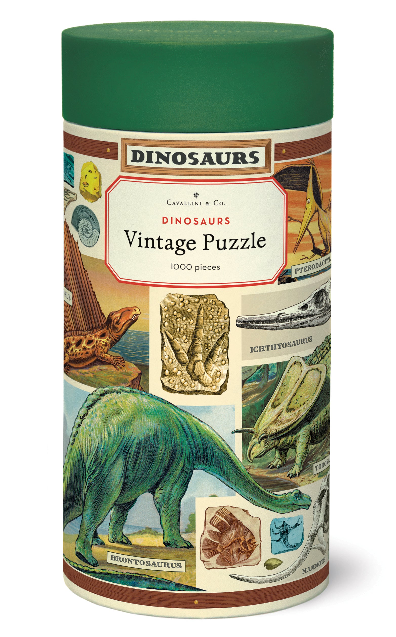 Dinosaurs Puzzle 
Cavallini 1000Teile