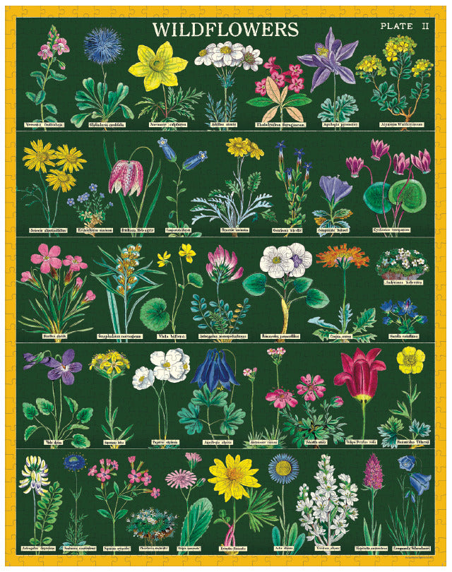 Wildflowers 2 Cavallini Puzzle 1000 Teile